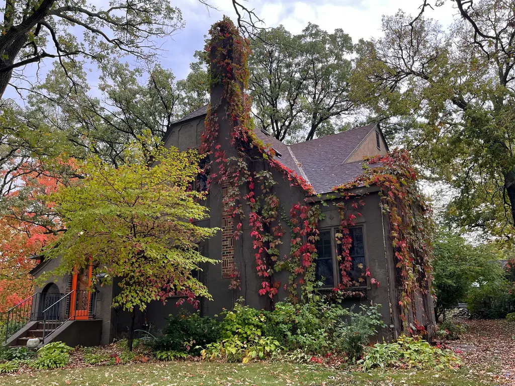 多肉萌翻雨~下雨天也要美美噠多肉養護指南